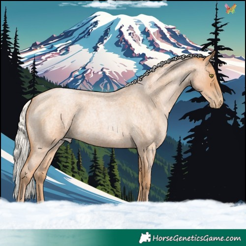 Horse Color:Silver Bay Roan Pearl 