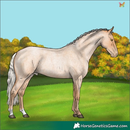 Horse Color:Silver Bay Roan Pearl 