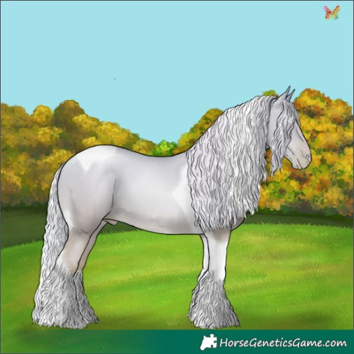 Horse Color:Silver Amber Cream Champagne Pearl Dun Tobiano 