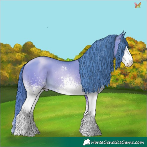 Horse Color:White Spotted Buckskin Pearl 