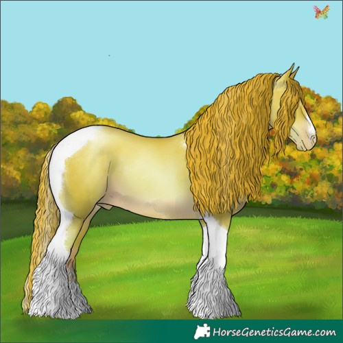 Horse Color:Sable Cream Champagne Pearl Tobiano 