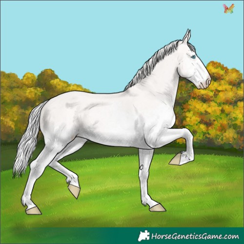 Horse Color:White Spotted Silver Perlino Dun 