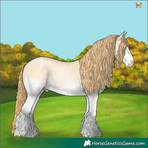 Horse Color:White Spotted Buckskin Pearl Dun 