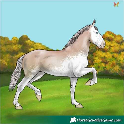 Horse Color:White Spotted Silver Sable Champagne Pearl Dun Splash 