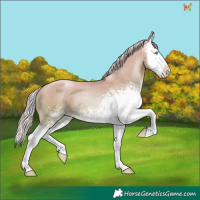 Horse Color:White Spotted Silver Sable Champagne Pearl Dun Splash 