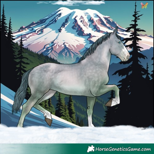 Horse Color:Buckskin Pearl 