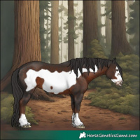 Horse Color:Liver Chestnut Frame 