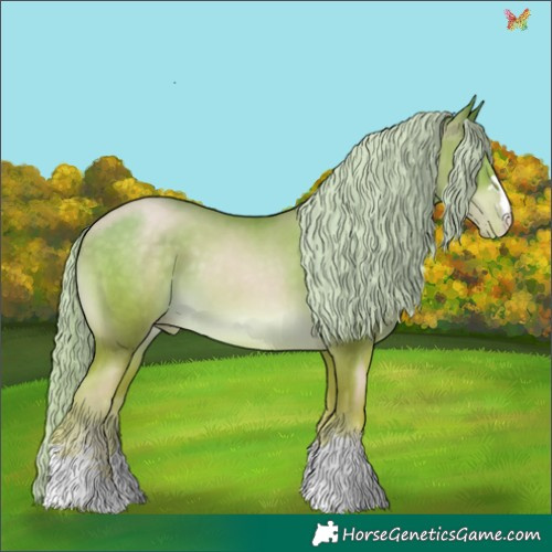 Horse Color:Chocolate Palomino Pearl 