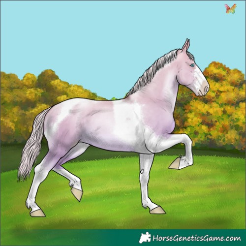 Horse Color:Silver Sable Cream Champagne Pearl Dun Tobiano 