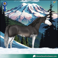 Horse Color:Smoky Black Splash
