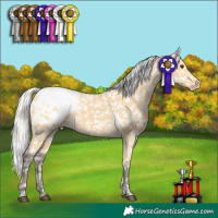 Horse Color:Silver Buckskin Tobiano Snowcap 