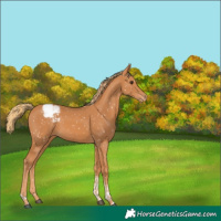 Horse Color:Chestnut Tobiano Snowflake Varnish