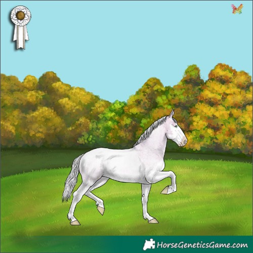 Horse Color:Watercolor Silver Sable Cream Champagne Roan Splash Rabicano 