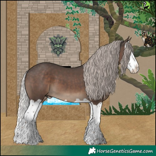 Horse Color:Silver Black Splash 