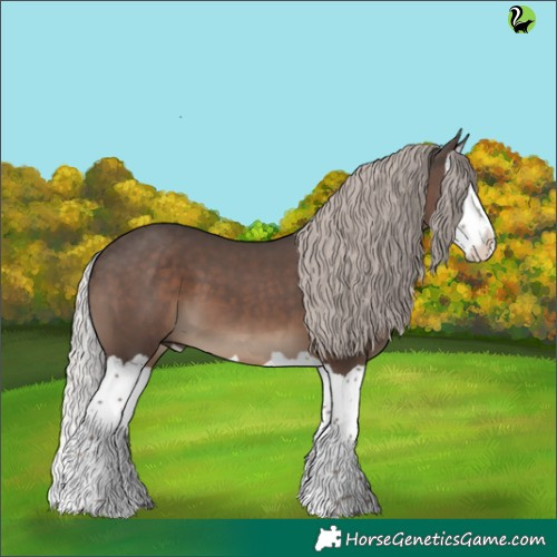 Horse Color:Silver Black Splash 