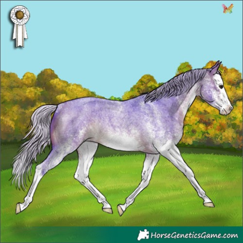 Horse Color:Watercolor White Spotted Silver Brown Roan Splash Rabicano 