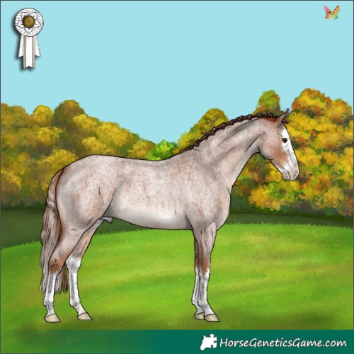 Horse Color:Red Roan Splash 