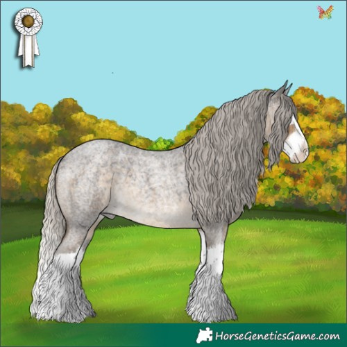 Horse Color:Silver Smoky Blue Roan Splash 