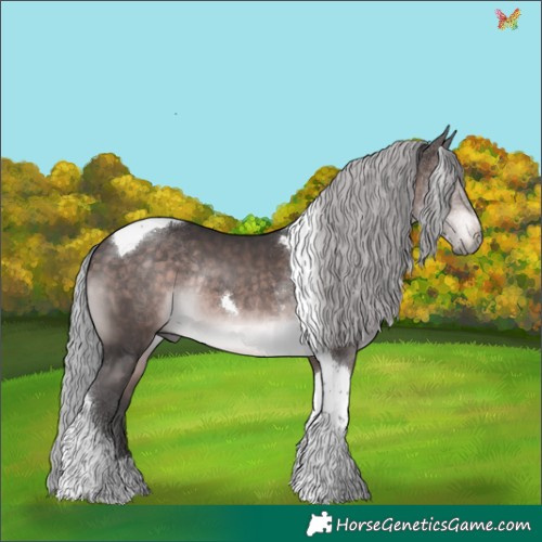 Horse Color:Platinum Silver Brown Tobiano Rabicano 