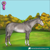Horse Color:Platinum Liver Red Dun Mushroom 