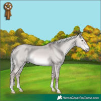 Horse Color:Platinum Red Dun Mushroom 