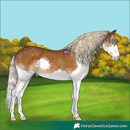Horse Color:Chocolate Palomino Splash
