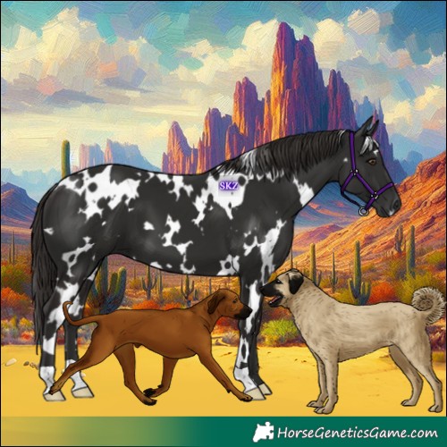 Horse Color:White Spotted Liver Chestnut