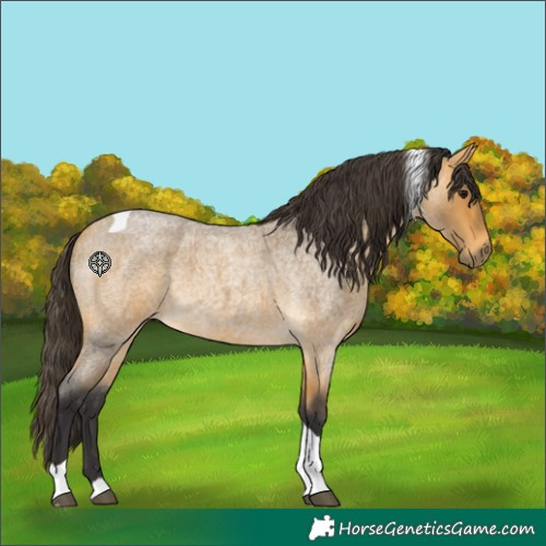 Horse Color:Buckskin Roan Tobiano 