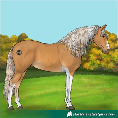 Horse Color:Palomino Tobiano 