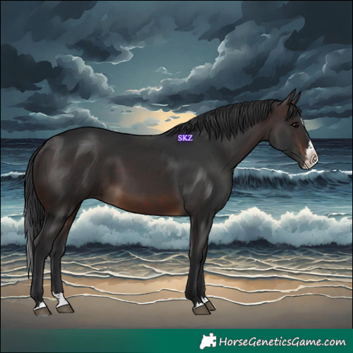 Horse Color:White Spotted Brown Splash 