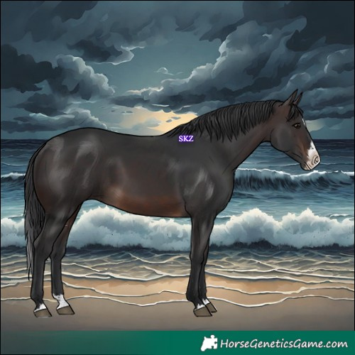 Horse Color:White Spotted Brown Splash