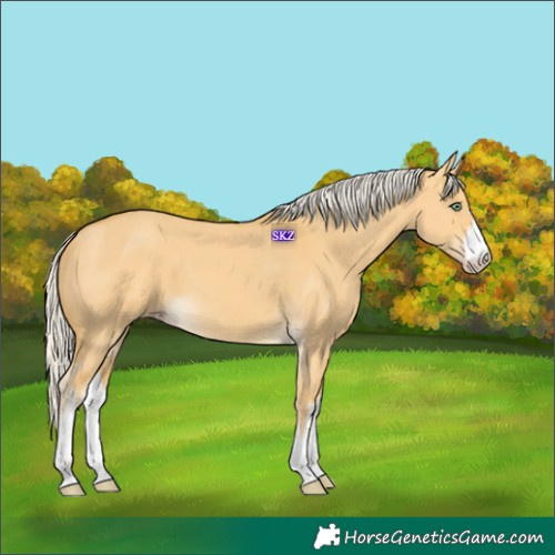 Horse Color:White Spotted Silver Amber Cream Champagne Dun