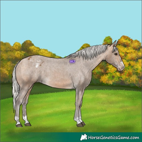Horse Color:Silver Buckskin Varnish