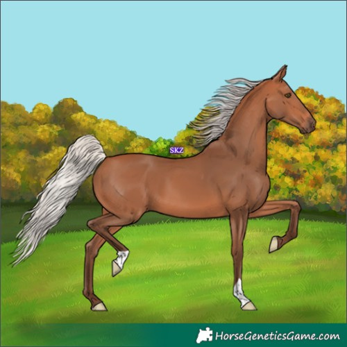 Horse Color:Silver Bay