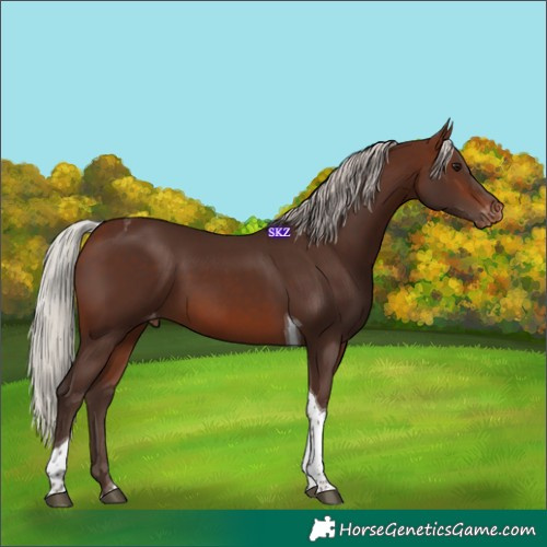 Horse Color:Silver Brown Tobiano Varnish
