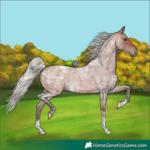 Horse Color:Silver Brown Ice Roan 