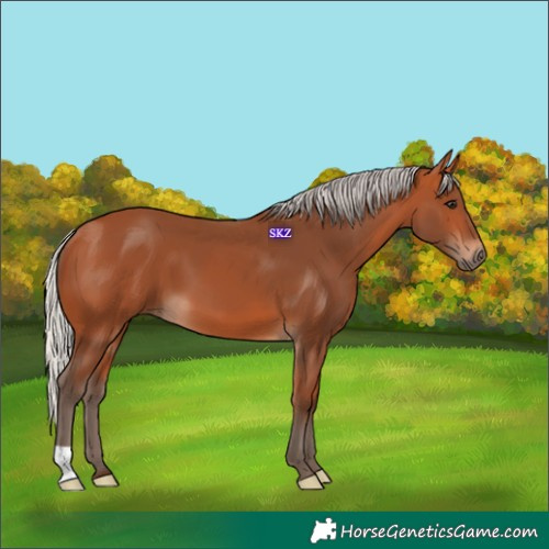Horse Color:Silver Bay