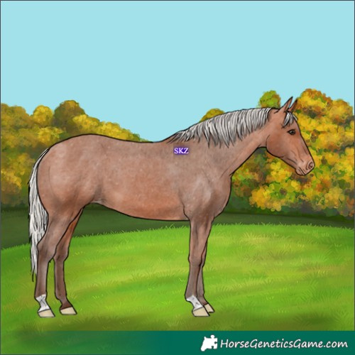 Horse Color:Silver Bay Varnish 