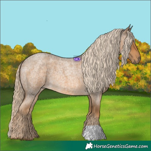Horse Color:Chocolate Palomino Roan