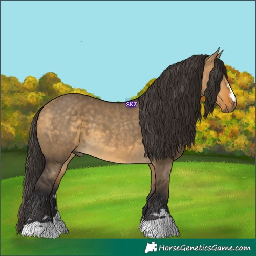 Horse Color:Buckskin Dun 