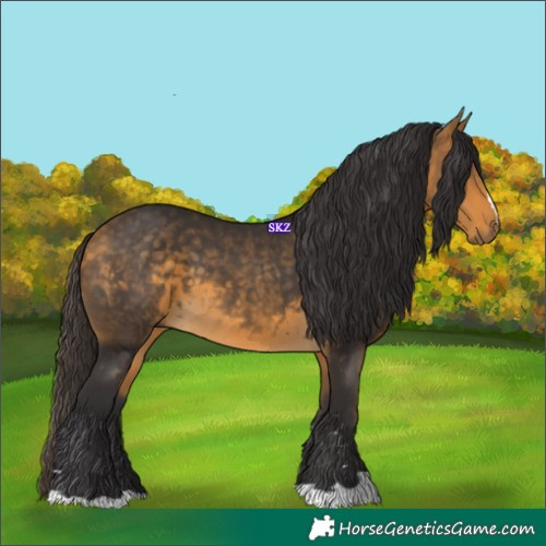Horse Color:Buckskin