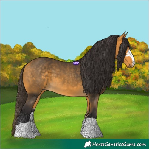 Horse Color:Buckskin 