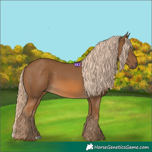 Horse Color:Chocolate Palomino 