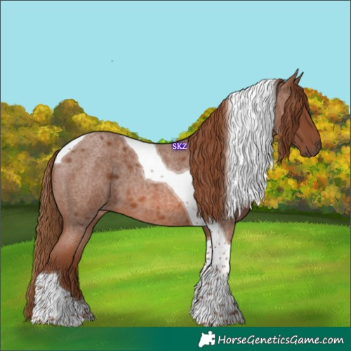 Horse Color:Red Roan Tobiano