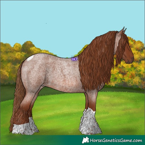 Horse Color:Red Roan Tobiano 