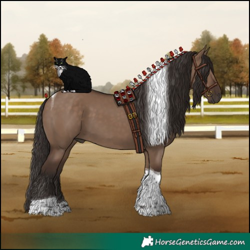 Horse Color:Liver Red Dun Tobiano