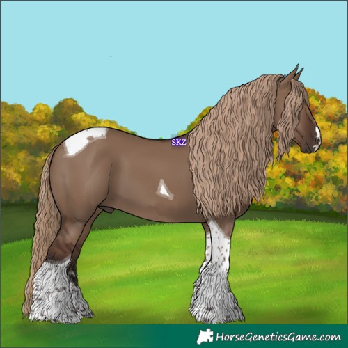 Horse Color:Liver Red Dun Tobiano 