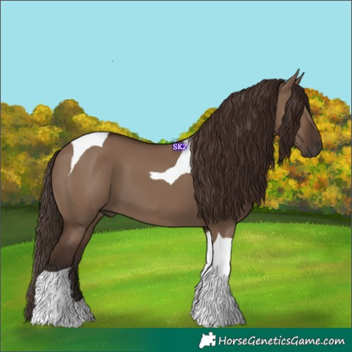 Horse Color:Liver Red Dun Tobiano 