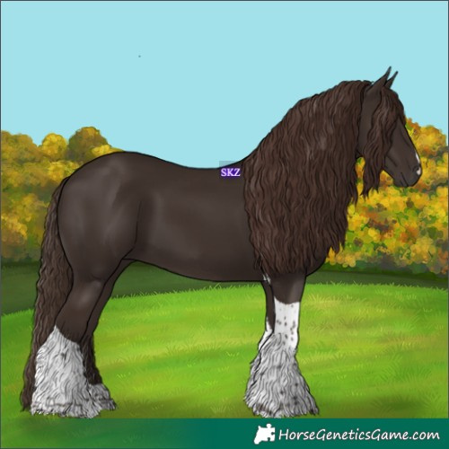 Horse Color:Liver Chestnut Tobiano 