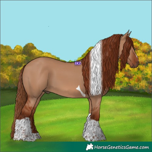 Horse Color:Red Dun Tobiano 